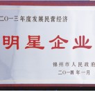 2013年度發(fā)展民營經濟明星企業(yè)